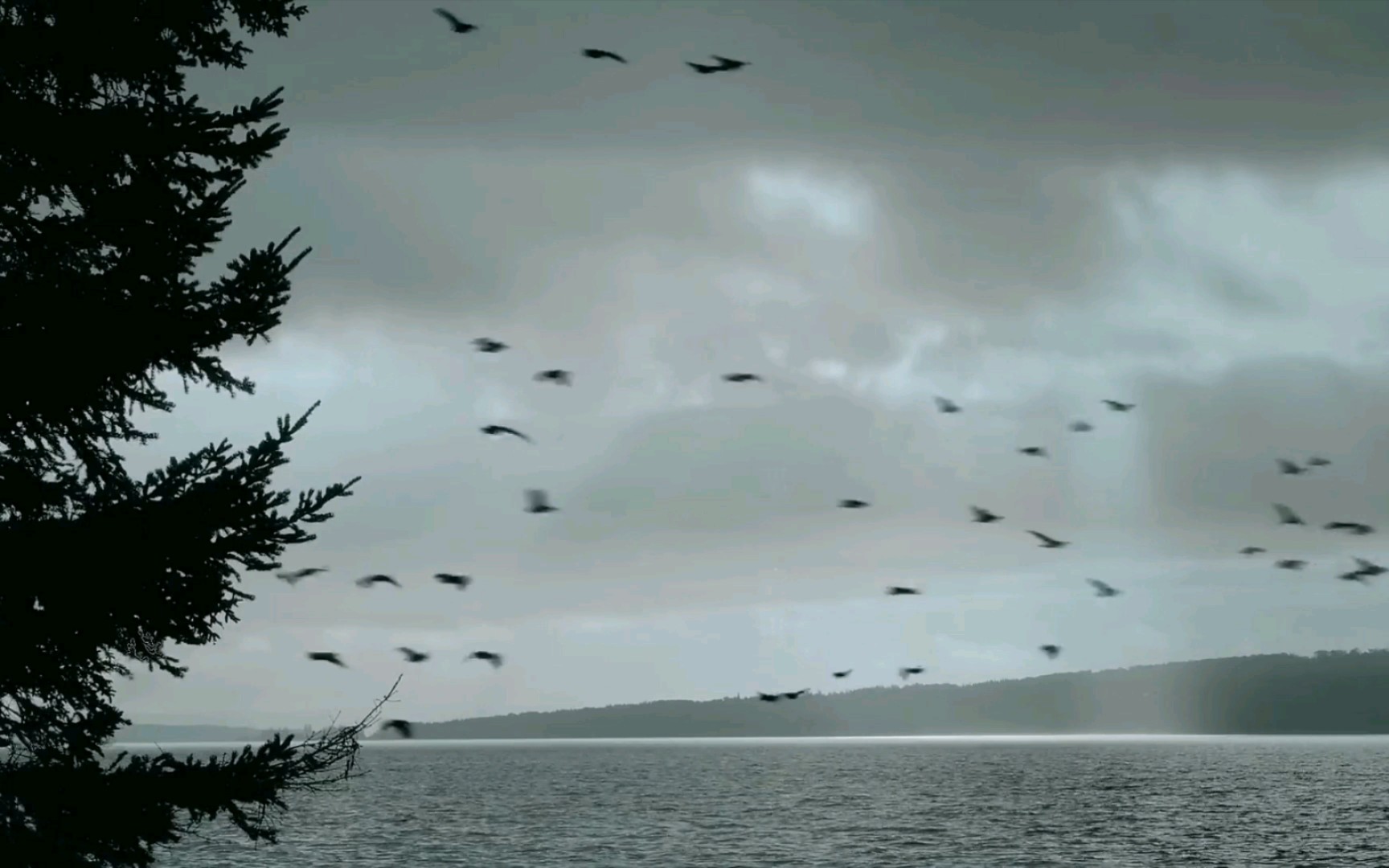 现代空镜--暗色调,意境风