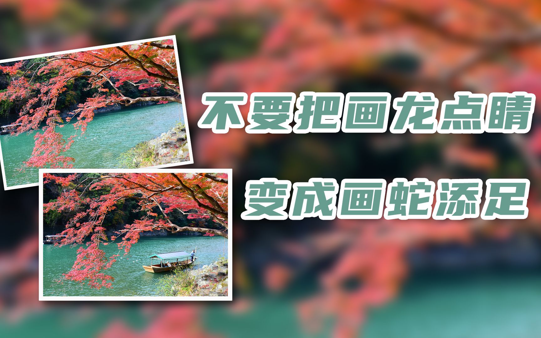 不要把画龙点睛,变成画蛇添足,照片加兴趣点哔哩哔哩bilibili