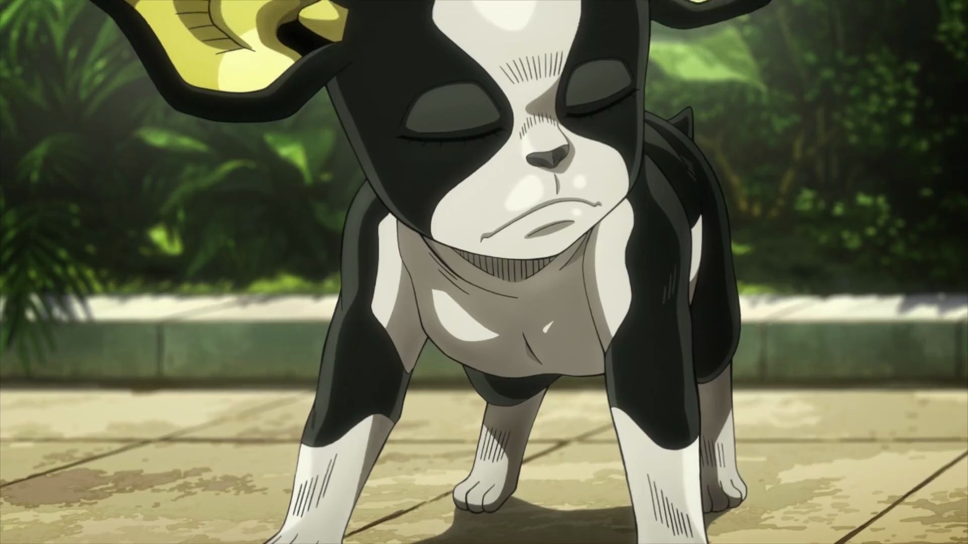 【伊奇】 野狗也有高贵的灵魂!