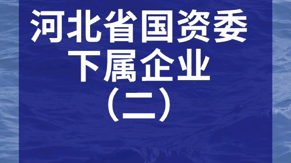 河北省国资委下属企业.河北省粮食产业集团,河北招标集团,河北省物流产业集团,河北机场管理集团,河北省建筑科学研究院,河北物产企业集团,开滦...