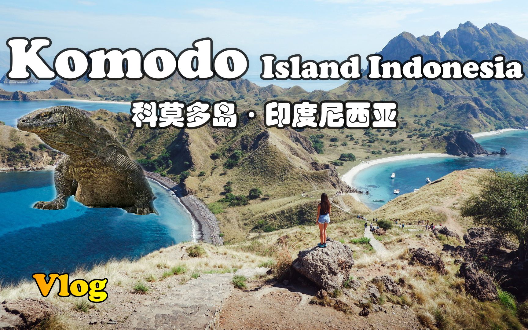 【怡橙出品】Vlog系列之印度尼西亚科莫多岛Komodo Island Indonesia哔哩哔哩bilibili