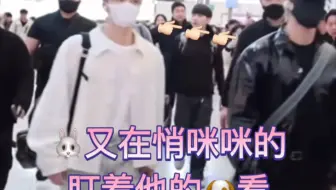 【笃】走在一起的🐶🐰，🐰又在盯着他的耶耶看👀~