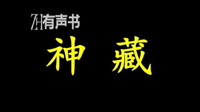 [图]神藏_ 一念之间，沧海桑田。打眼带你进入古玩的世界！_ZH有声书：_完结合集_