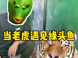 Tải video: 当我老了，估计它们得拔我管子。