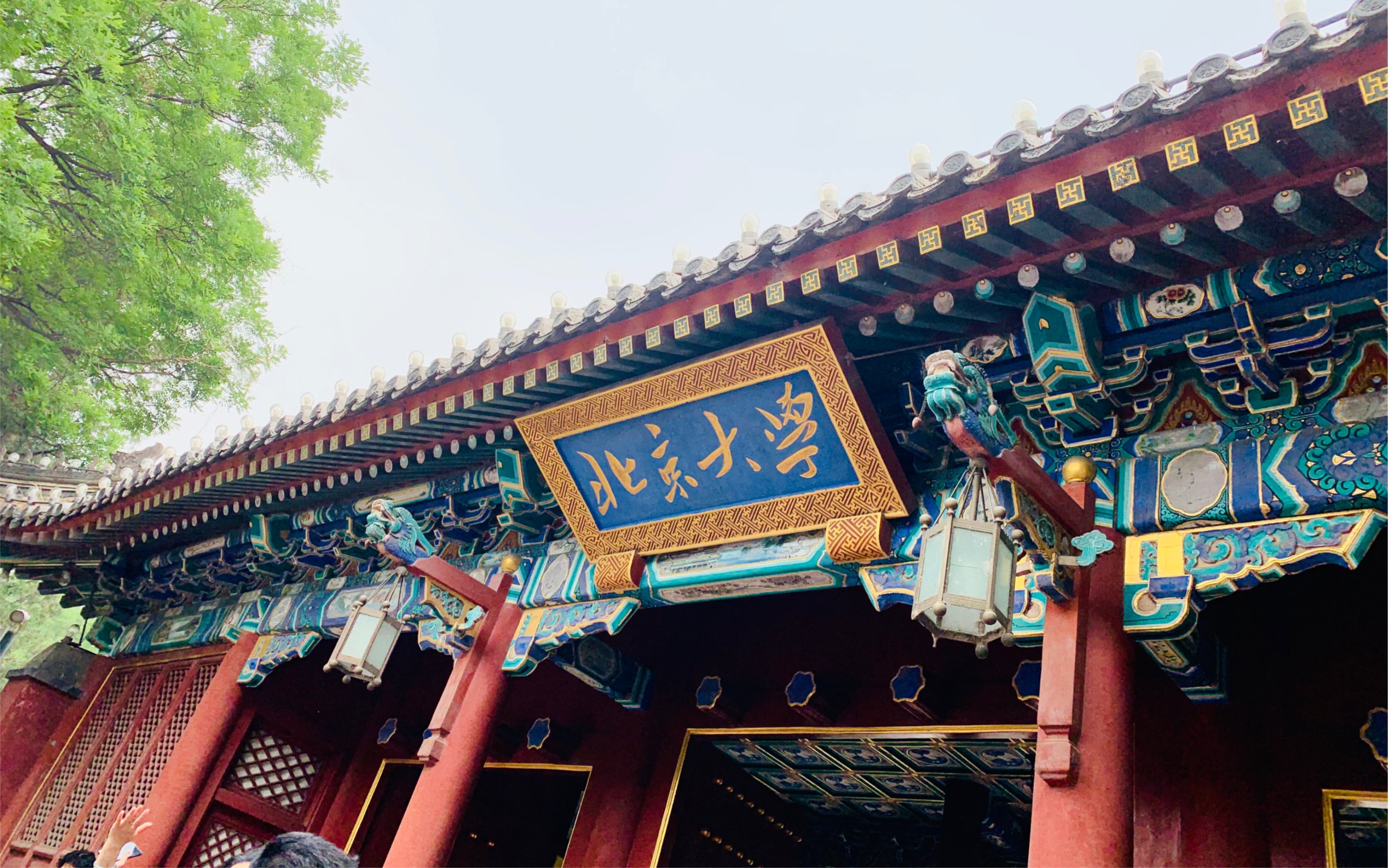 vlog#16访学日记#北京大学#未名湖#北京大学的校园环境#买手信#逛超市