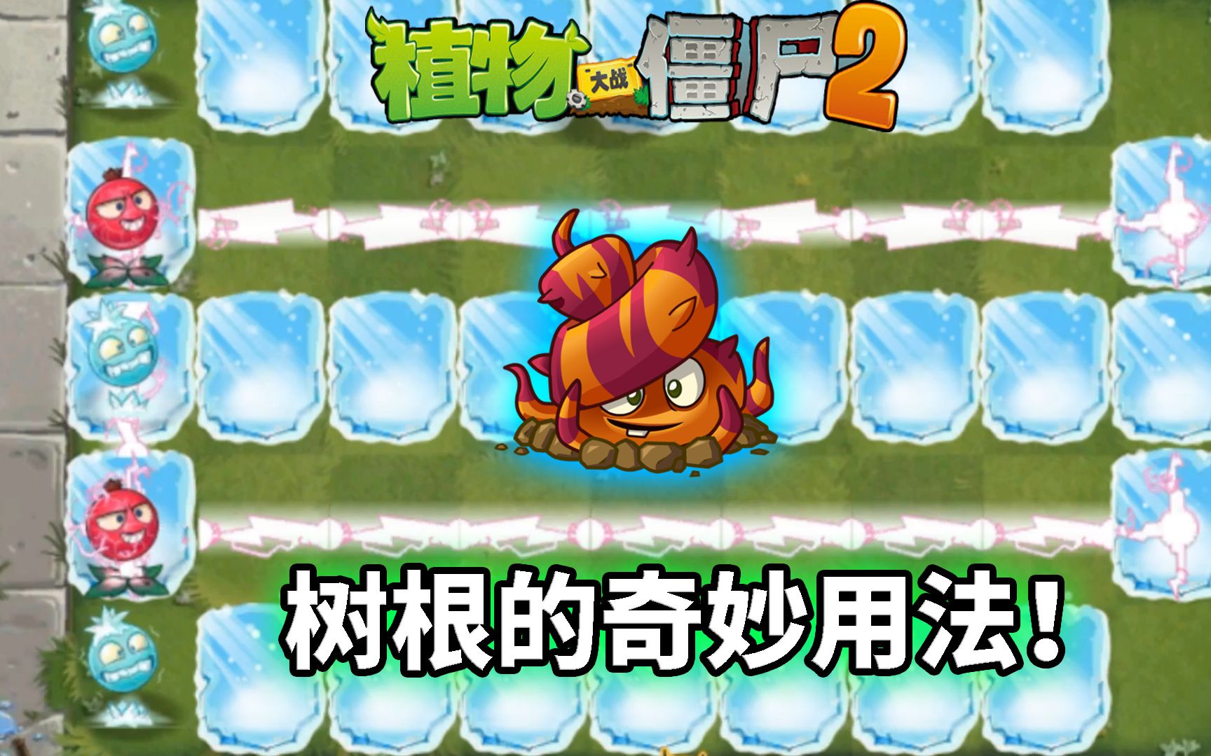 Pvz2树根的神奇用法 隐藏植物欢乐多!哔哩哔哩bilibili