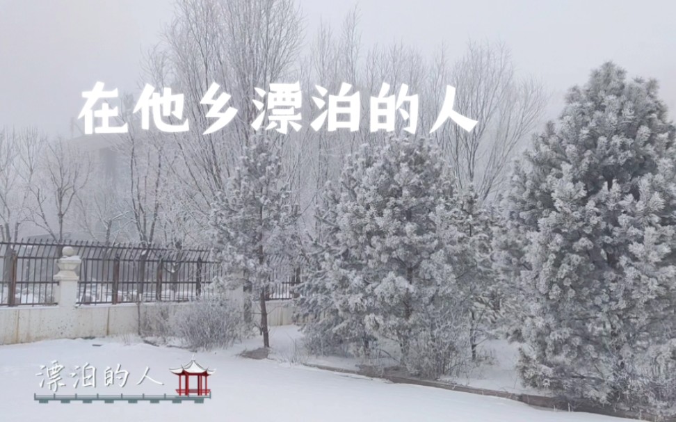 在他乡漂泊的人