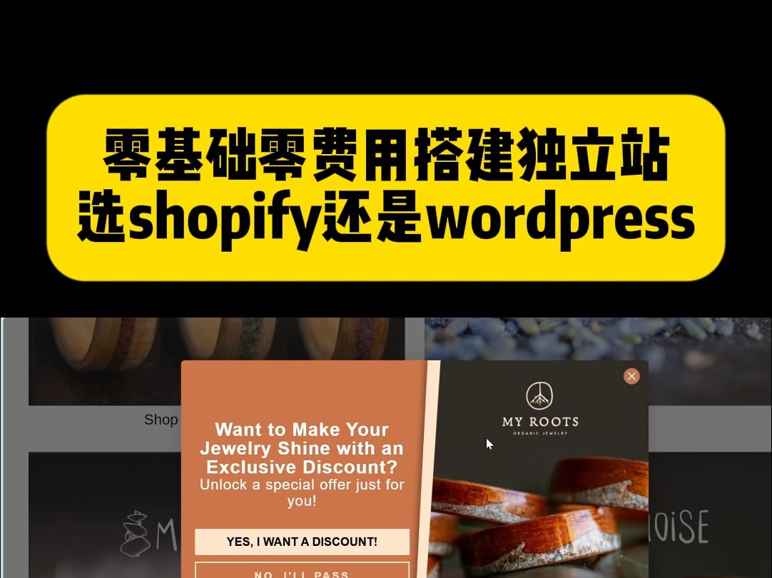 零基础零费用搭建独立站选shopify还是wordpress哔哩哔哩bilibili