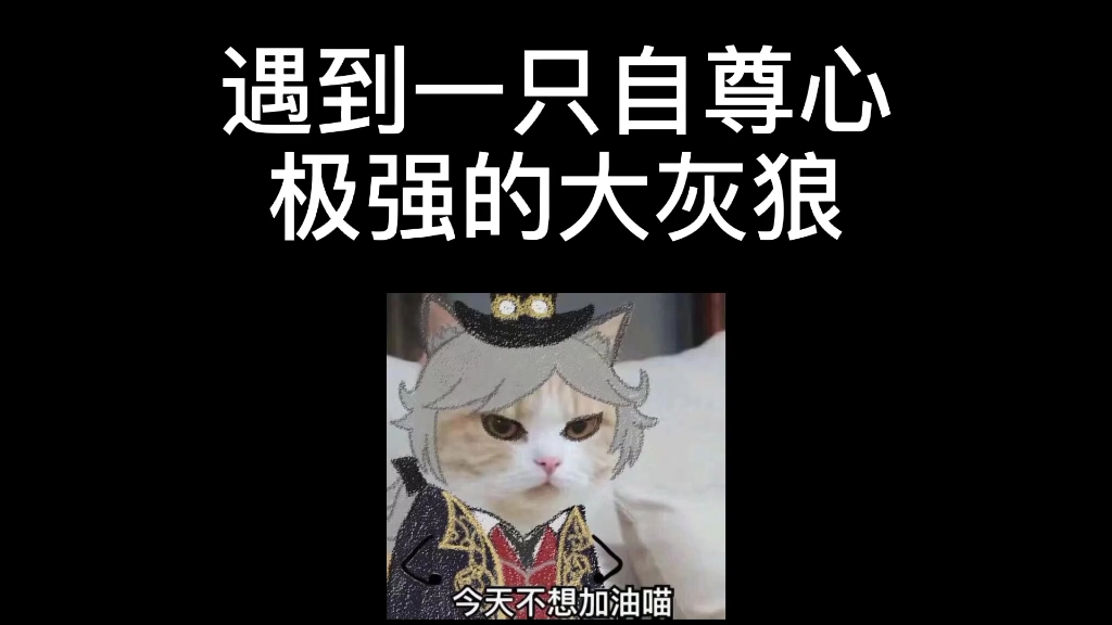 【摄殓】甜甜的恋爱合集哔哩哔哩bilibili