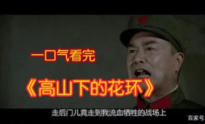 [图]9.5分 国产战争片的巅峰之作，虽然不会在上映 但它也不该被遗忘【高山下的花环】