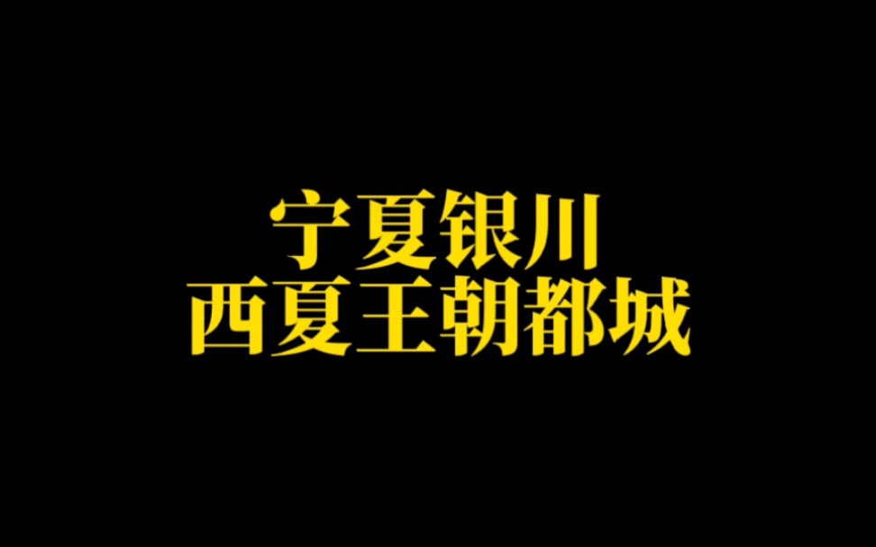 宁夏概况:西夏王朝故都银川,辣糊糊枸杞知名哔哩哔哩bilibili