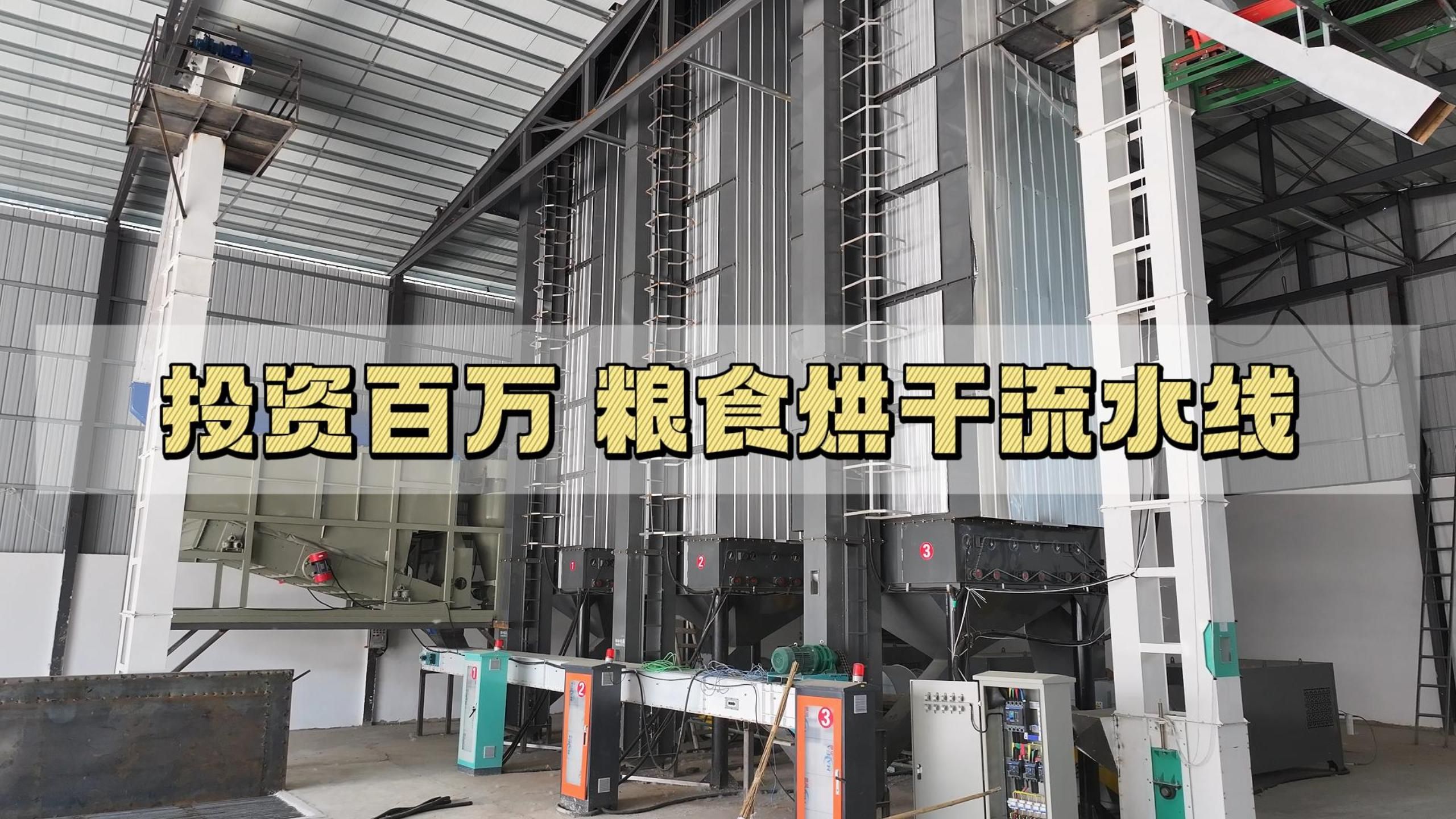投资百万的粮食烘干流水线,到底省了哪些人力?
