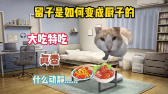 Download Video: 【猫meme】留子是如何变成厨子的？