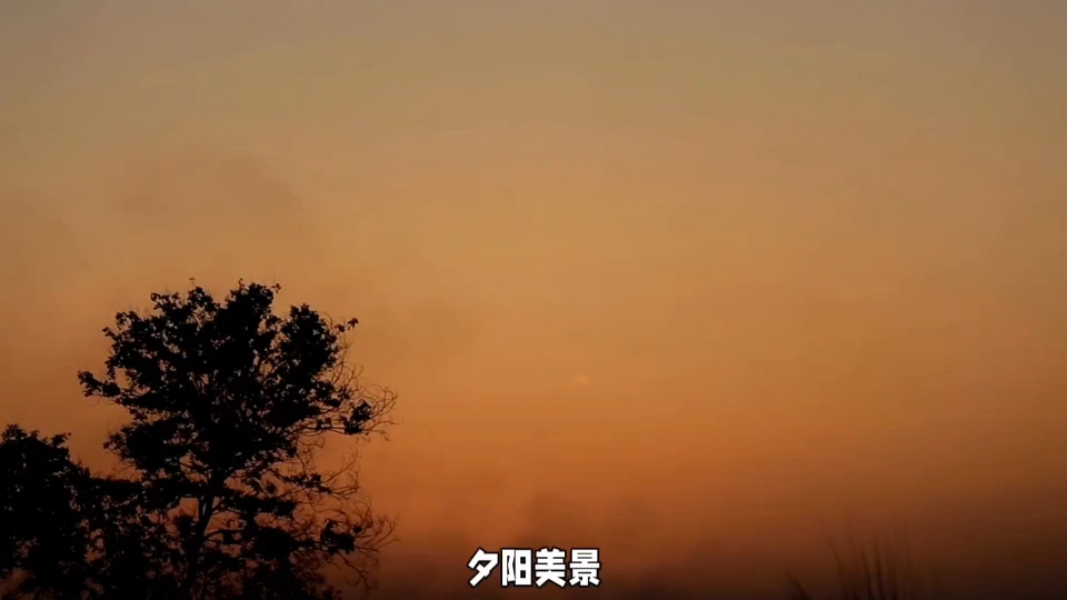 感光调度手机软件下载_感光调度手机app_手机感光度怎么调