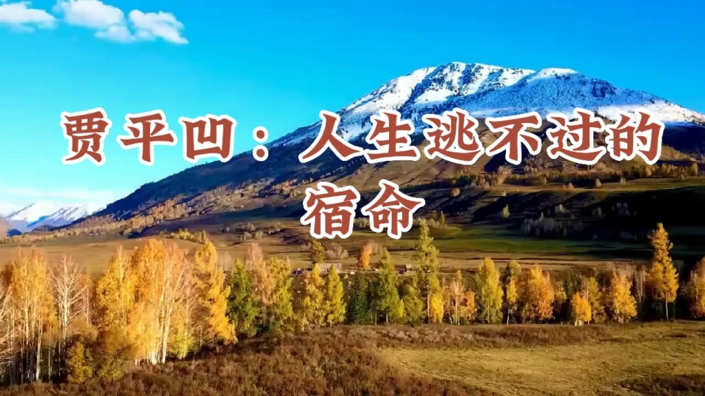 贾平凹:人生逃不过的宿命