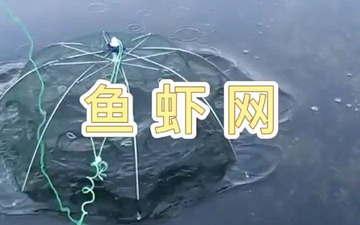 折叠鱼虾笼,户外钓鱼很实用!哔哩哔哩bilibili