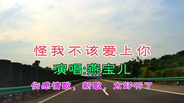 路灯下你转身离去,寒风中我泪眼迷离,我们说好的不分离,如今只剩下我自己,回忆如刀刺在我心底,怪我不该爱上你,梦已破碎心已支离,只剩回忆伴我...