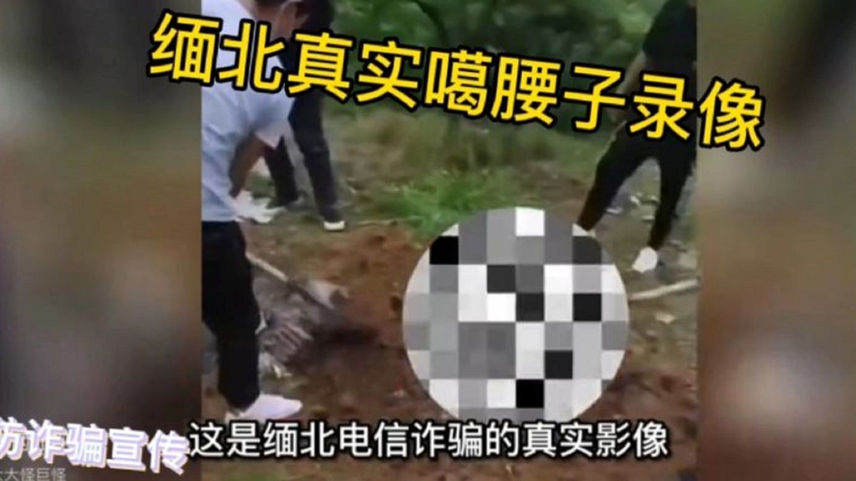 缅北真实噶腰子场面，胆小者慎点。_2026-09-09_15-18-54
