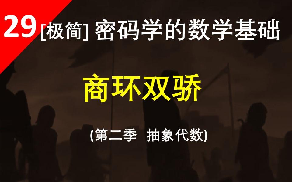 【商环双骄】素理想、极大理想构造的商环 有哪些有趣又有用的性质哔哩哔哩bilibili