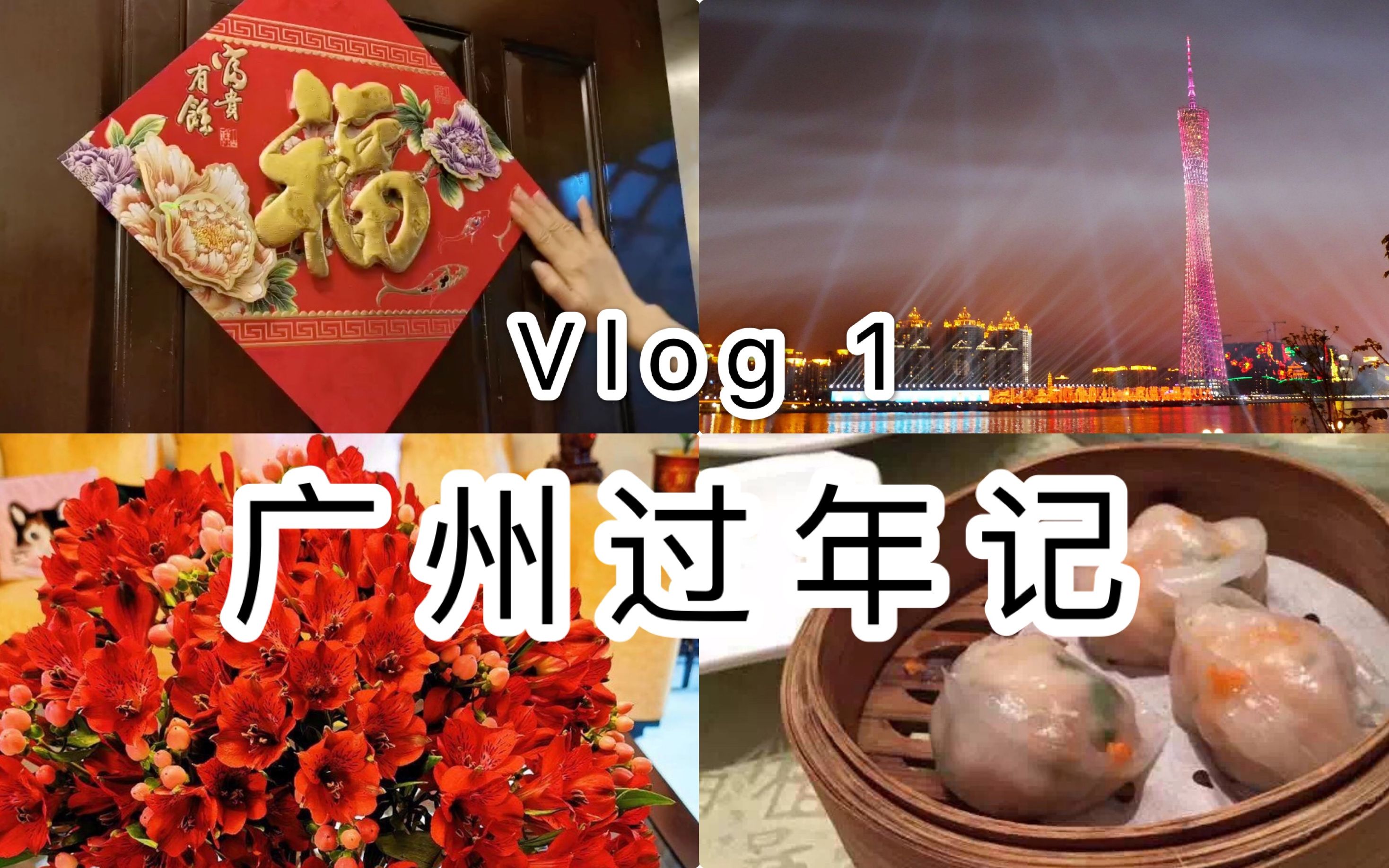 Vlog 1  广州过年记/在广州过春节是什么感觉哔哩哔哩bilibili