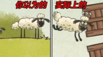 送小羊回家