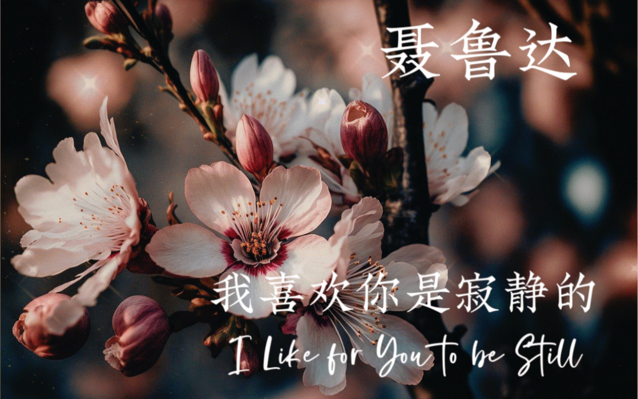 【睡前读诗】聂鲁达|《我喜欢你是寂静的》I like for you to be still在充满爱的地方,无须把爱说出来.哔哩哔哩bilibili