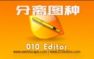 Tải video: 使用010 editor分离奇怪的视频文件