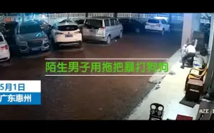 Download Video: 陌生男子用拖把暴打狗狗致流产眼瞎