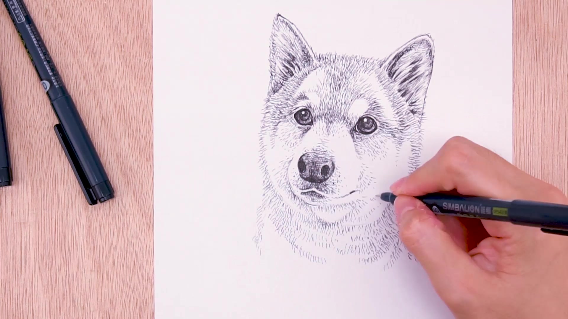 谁说素描只能用铅笔超萌柴犬针笔素描在这里