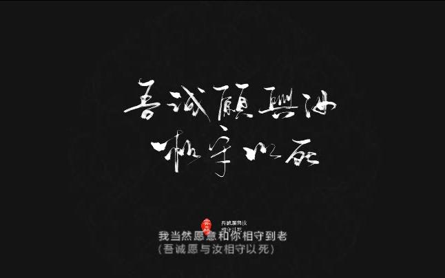 【与妻书】全文手写(超质量)哔哩哔哩bilibili