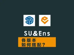 Download Video: SU如何选择ENS版本