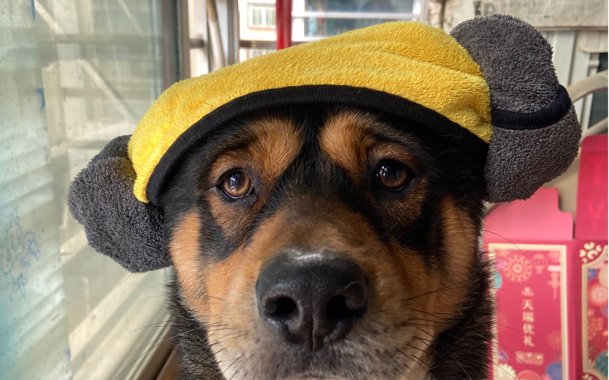 韩式三角巾与铁憨憨的标配