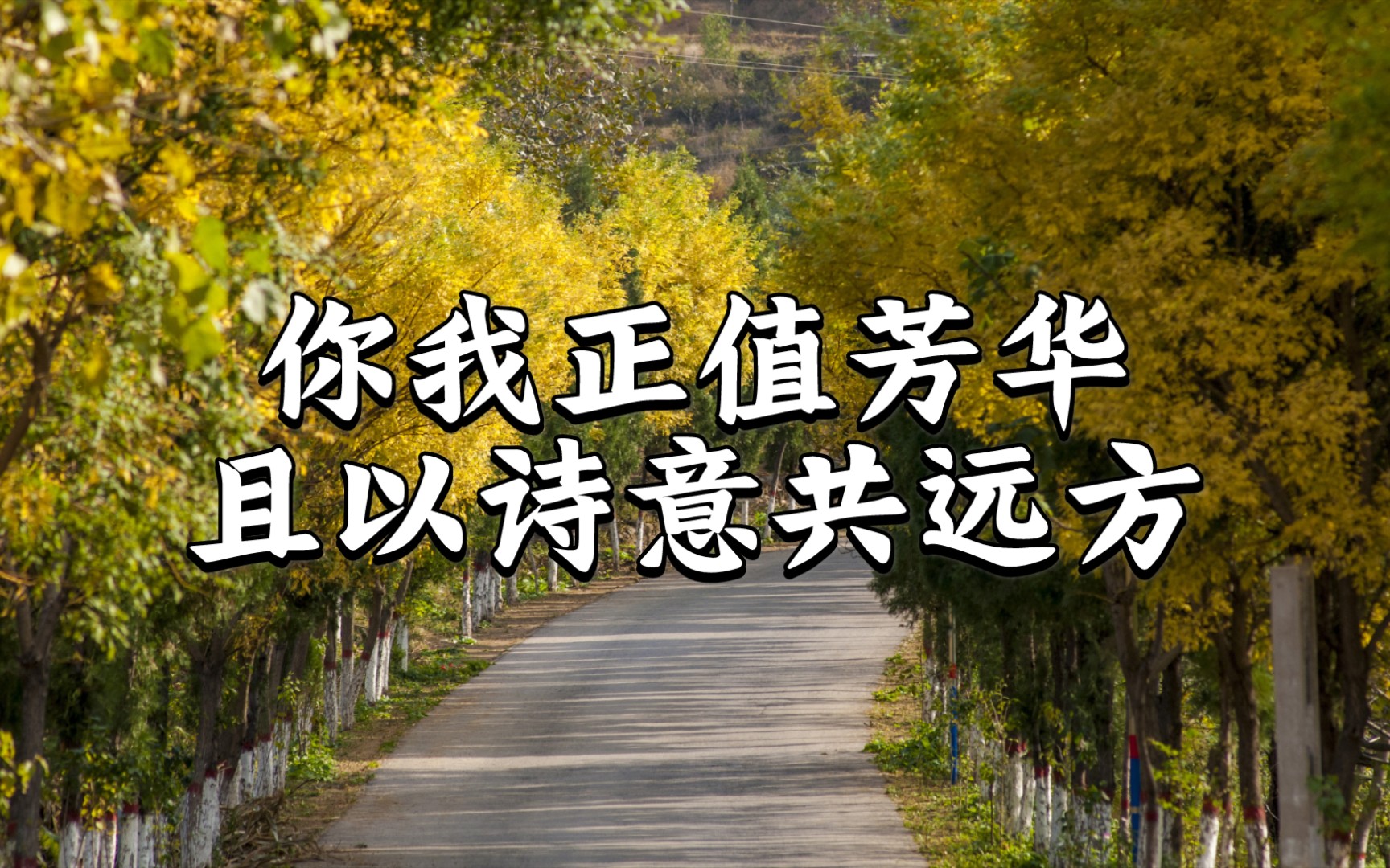 [图]【作文素材配音】我辈当负重前行：有关“青年担当”的7个励志篇章（上）