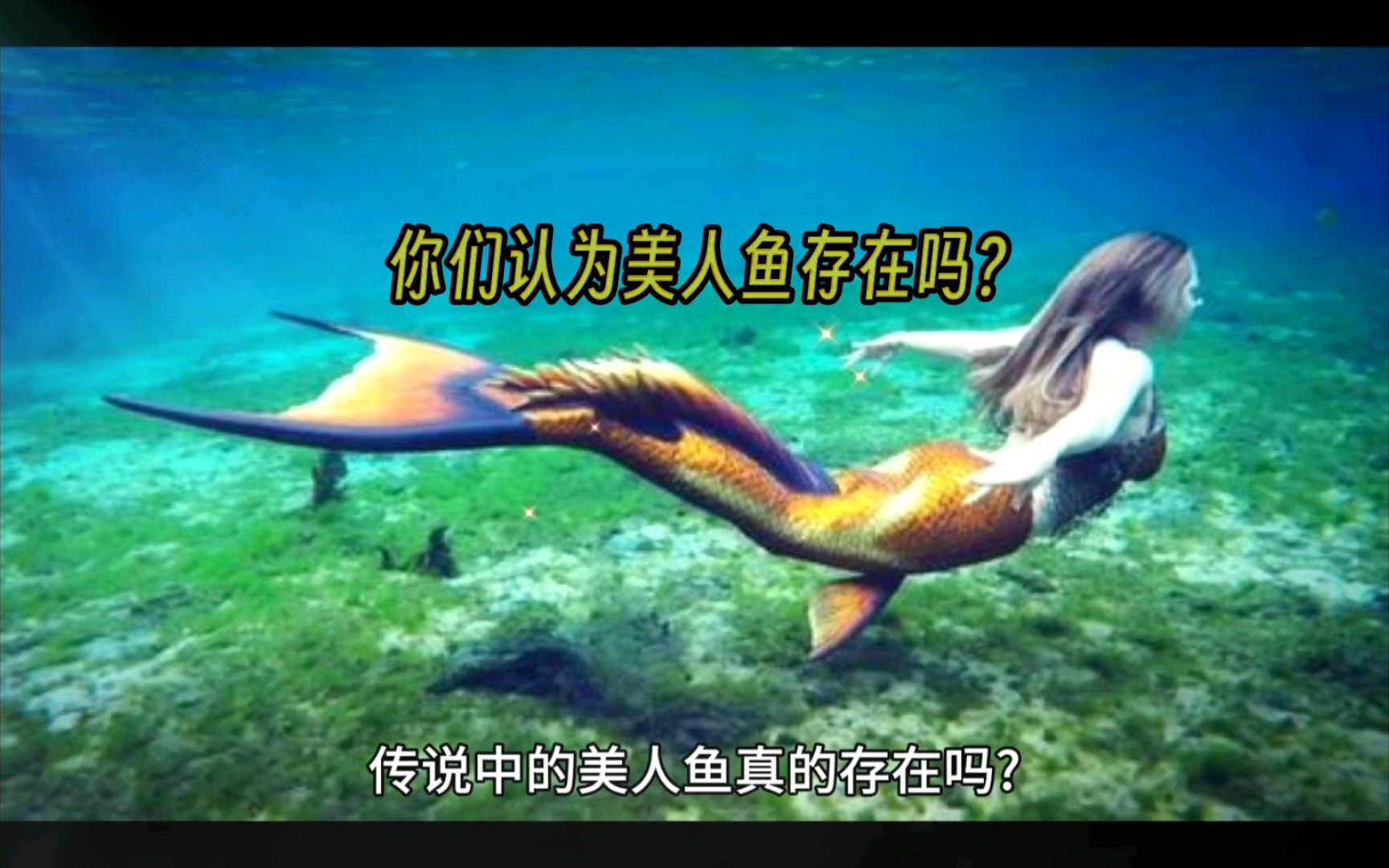 你們覺得美人魚真的存在嗎?