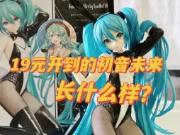 Tải video: 19元开到的初音未来，长什么样？