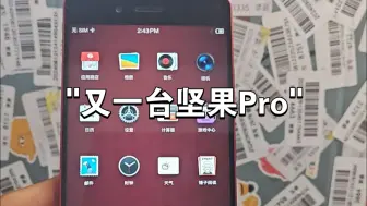 Download Video: 又一台坚果Pro