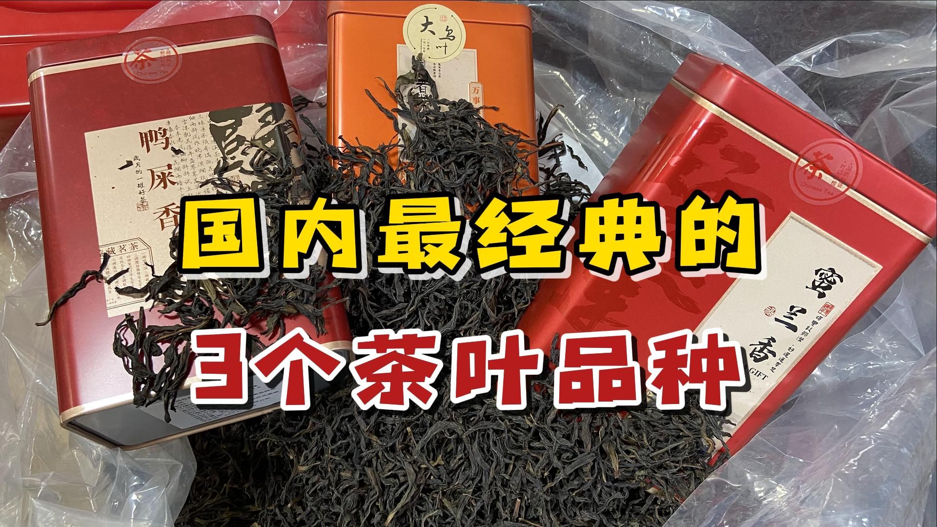 国内茶叶最经典的3个品种,性价比超高,适合老百姓天天喝!哔哩哔哩bilibili