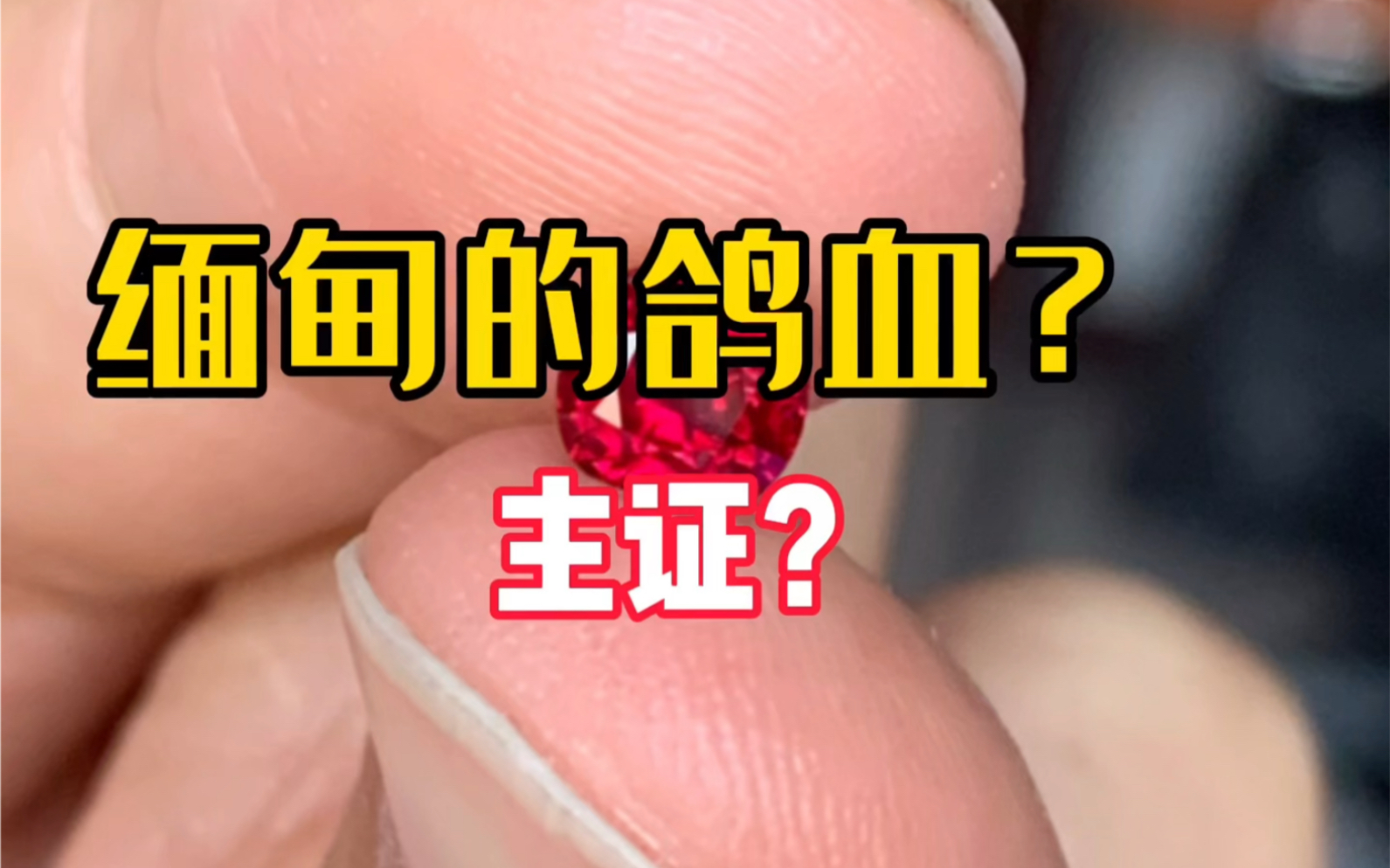 缅甸的鸽血红红宝石还分主证和副证嘛?哔哩哔哩bilibili