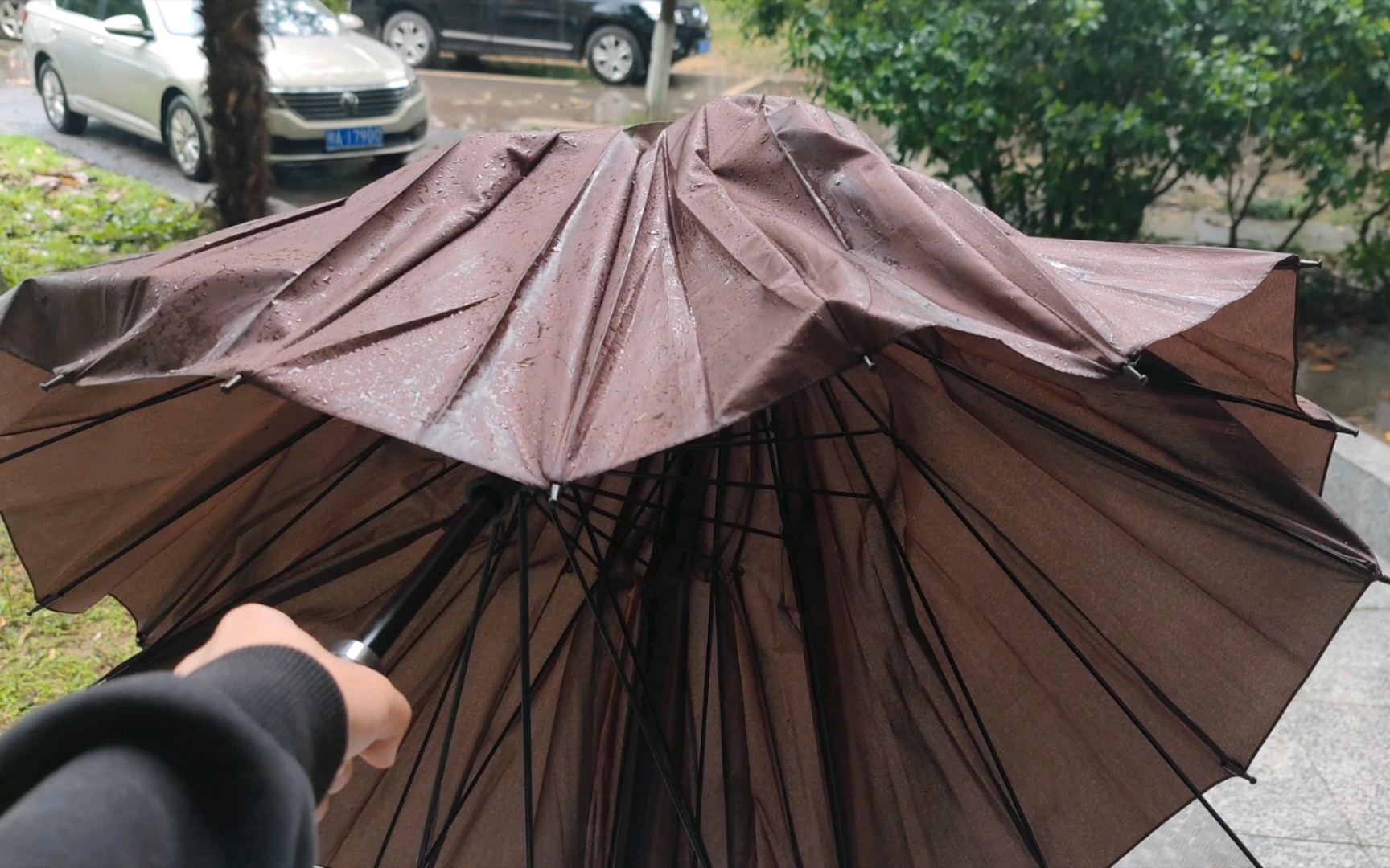 活动  每年必坏一把伞?倒霉区up