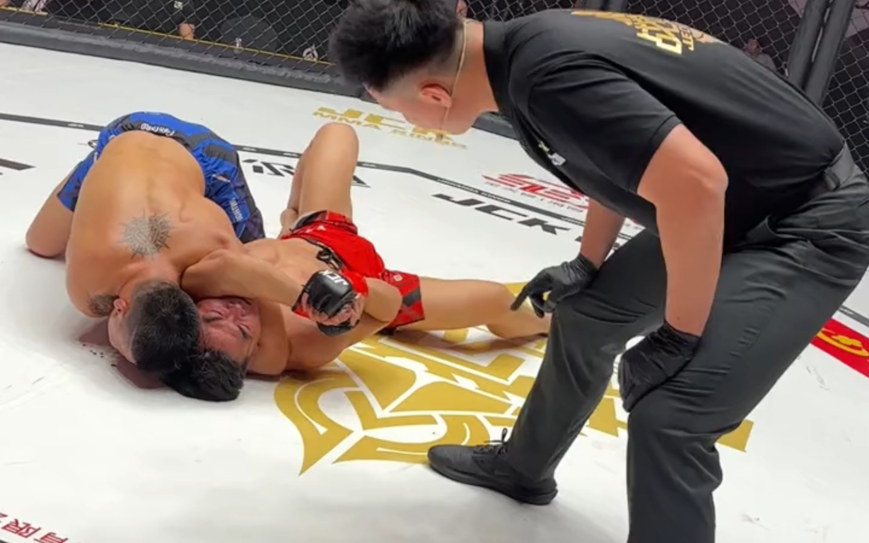 jck战觉城 楠楠巴雅尔手臂三角绞降服王奇