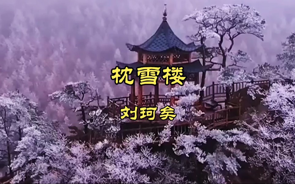 枕雪楼刘珂矣图片