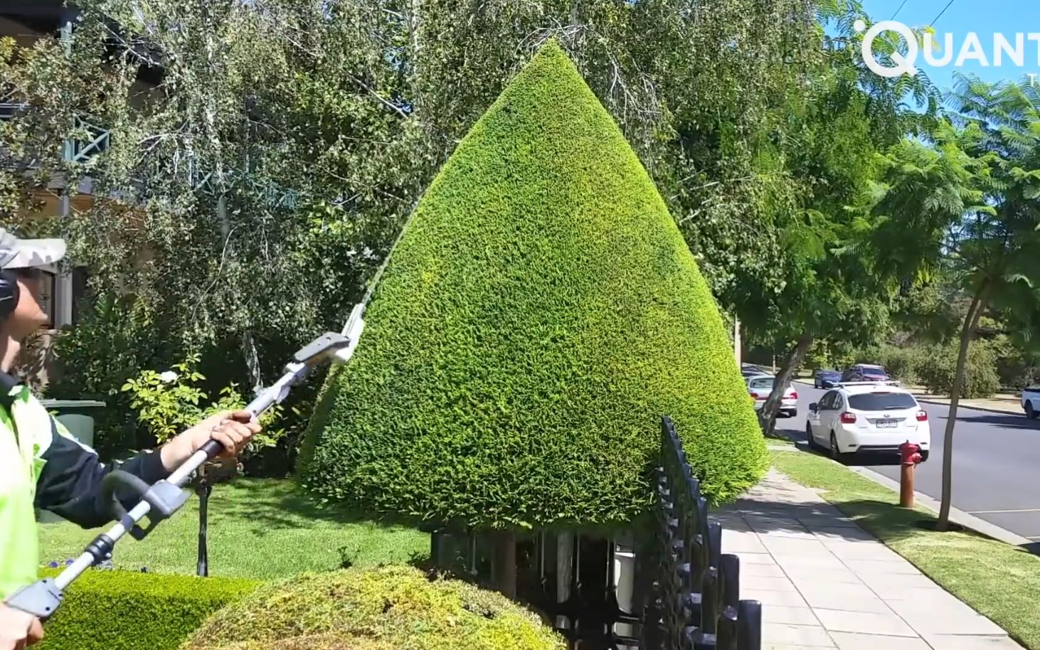 整齐精美的绿植是如何修剪的