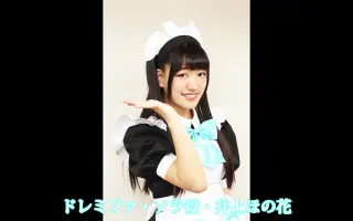 セカンドフェイズ 搜索结果 哔哩哔哩 Bilibili