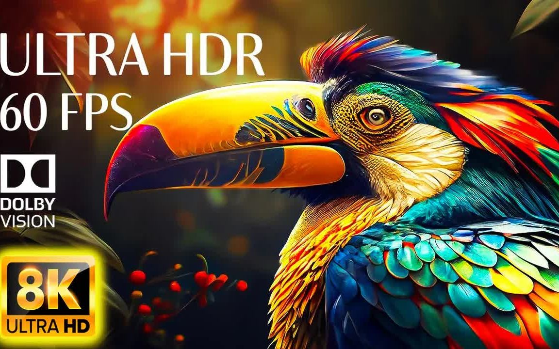 8k 60fps dolby vision - beauty of animals 8k ultra hd (60fps hdr