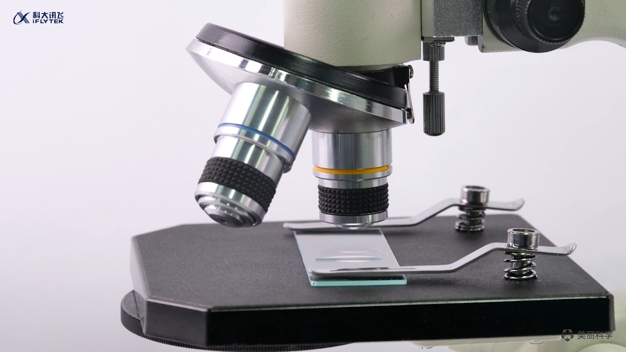 使用高倍显微镜观察几种细胞