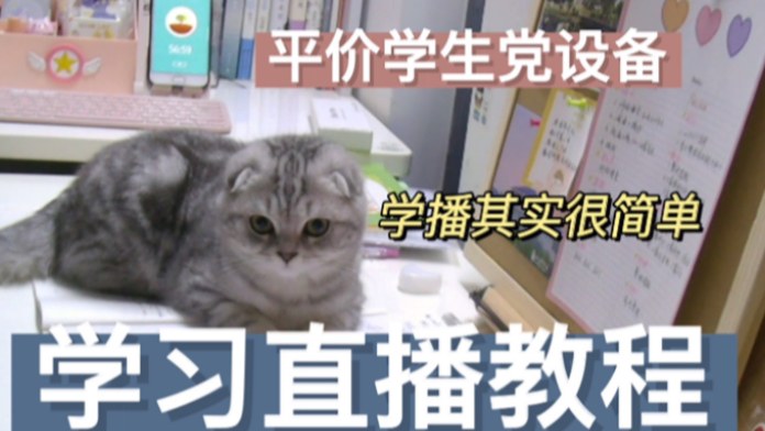 【学习直播教程】或许你也想做学习直播?|学习直播全教程|学习直播需要哪些设备|轻而易举做学习主播|学习直播你所要知道的事哔哩哔哩bilibili