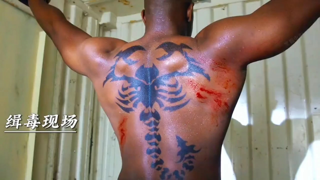 加怀特才是真正的格斗之王