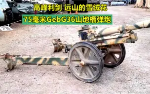 Descargar video: 高峰利剑，远山的雪绒花：二战德国75毫米GebG36山地榴弹炮