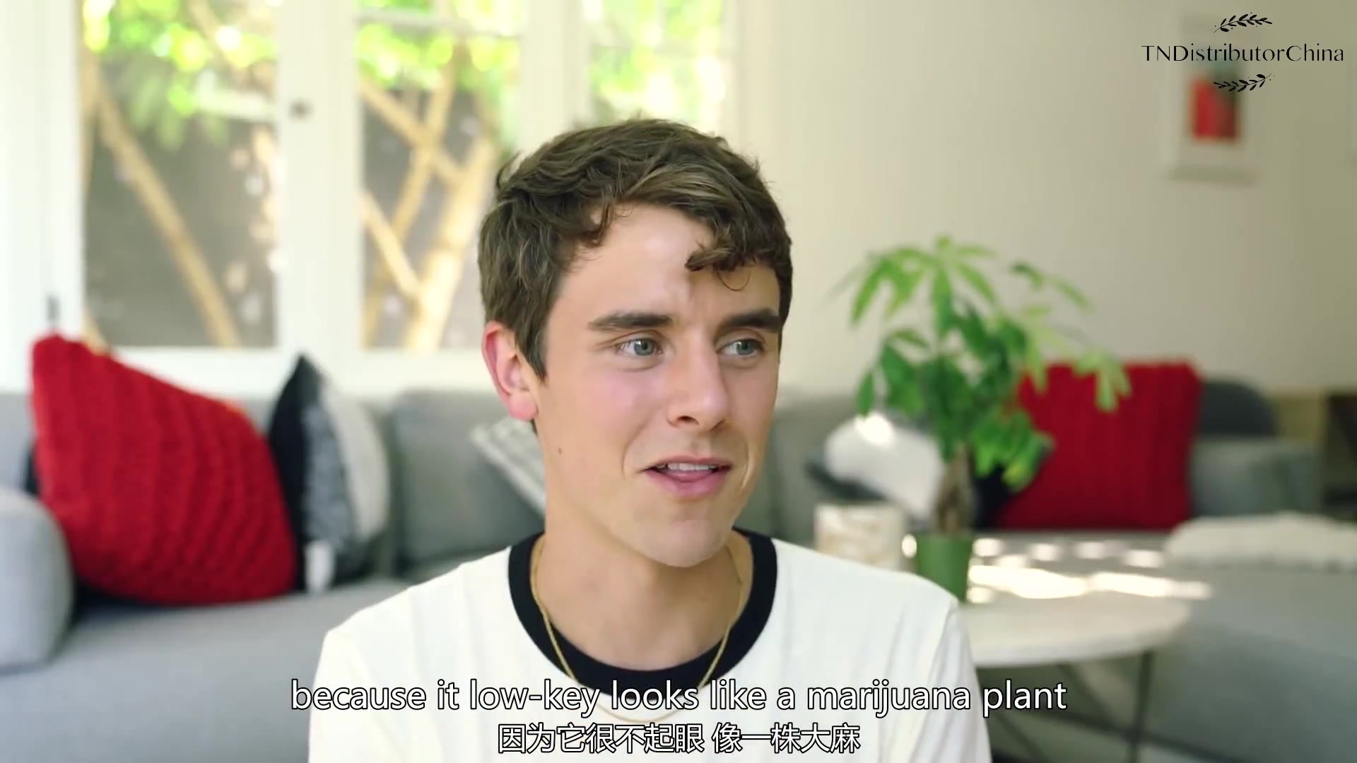 【A Tour of My Plants】【CONNOR FRANTA】【双语字幕】【TRONNOR资源站】哔哩哔哩bilibili