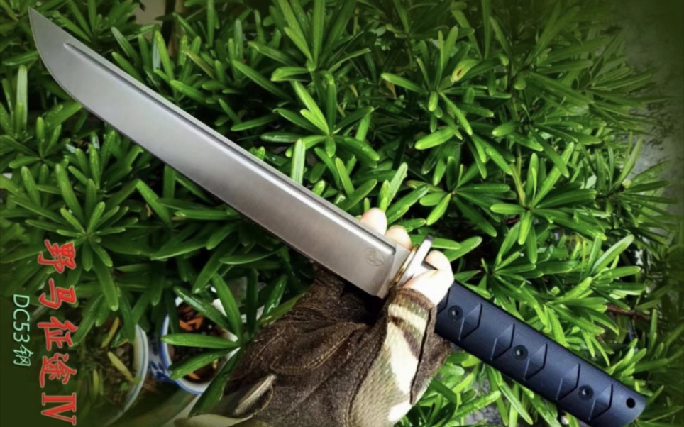 野马征途Ⅳ四,战术肋差武士刀阴暗地在树旁边